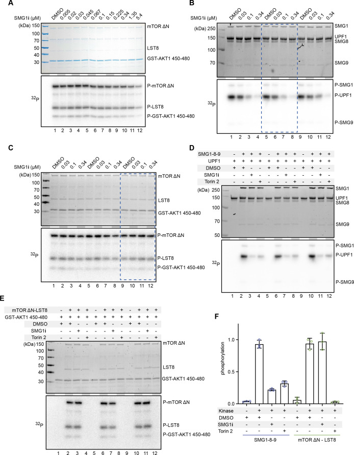 Figure 1—figure supplement 2.