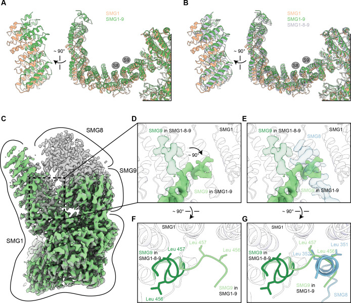 Figure 3—figure supplement 4.