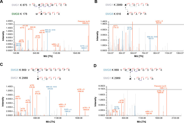 Figure 4—figure supplement 2.