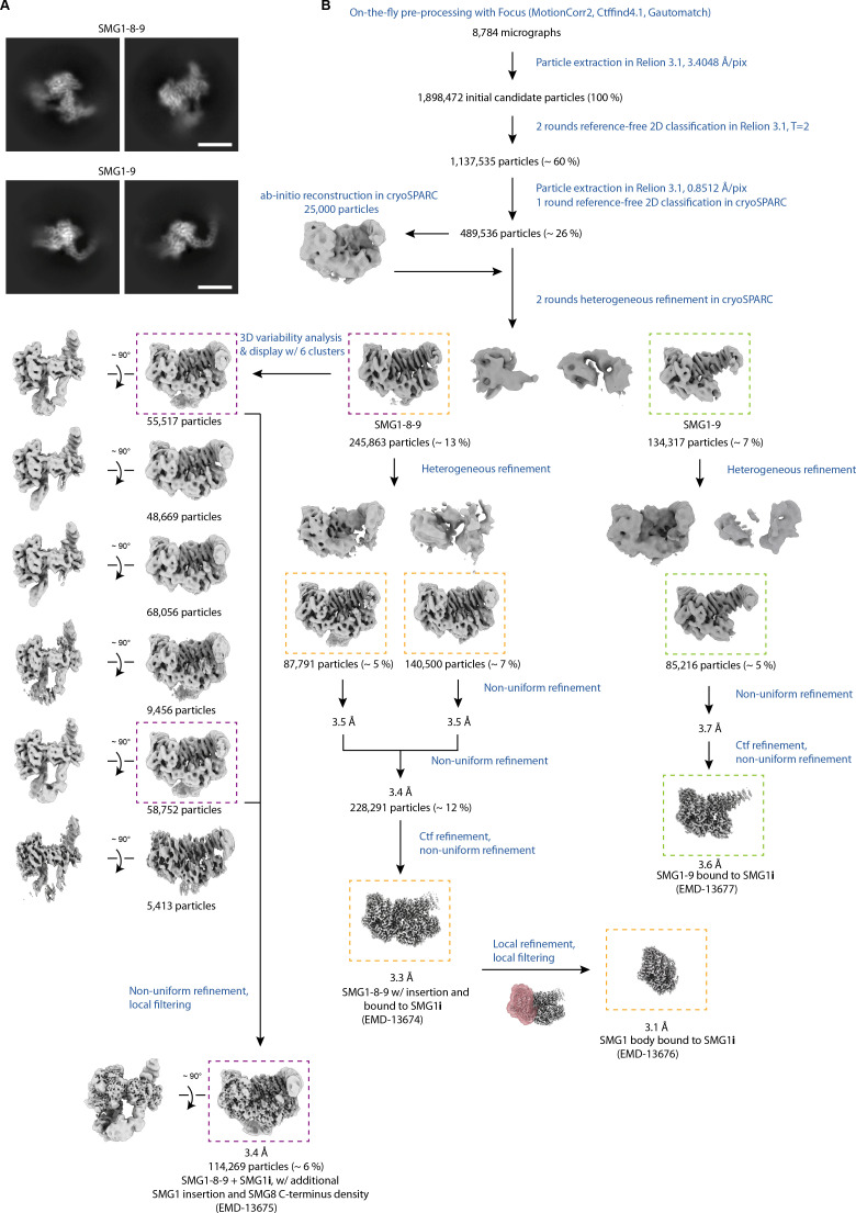 Figure 2—figure supplement 2.