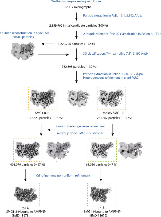 Figure 3—figure supplement 3.