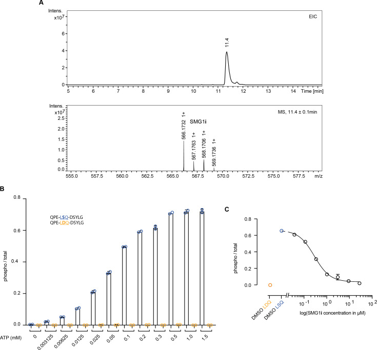 Figure 1—figure supplement 1.