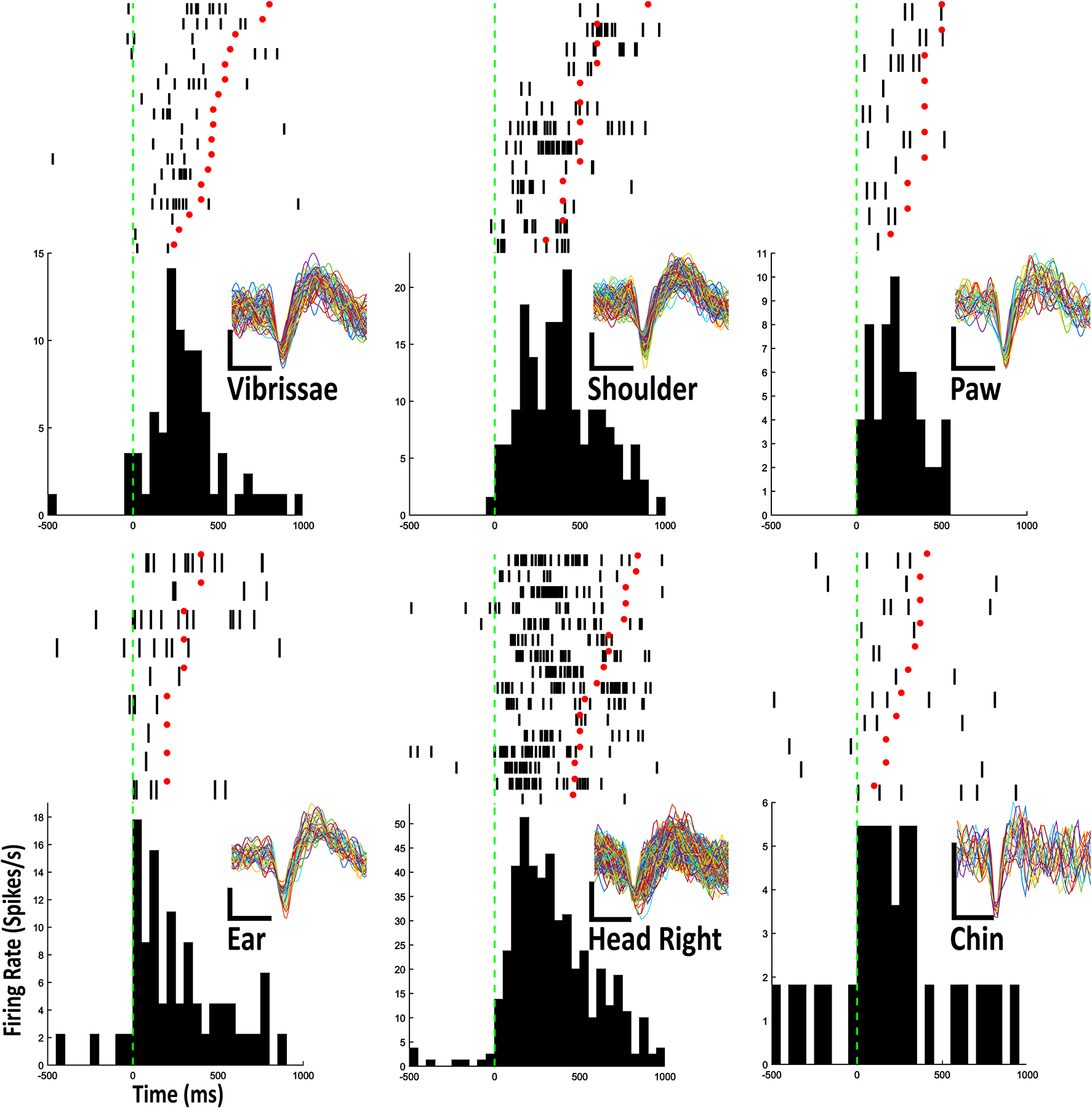 Figure 2.