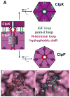 Fig. 9