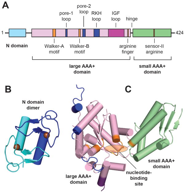 Fig. 2