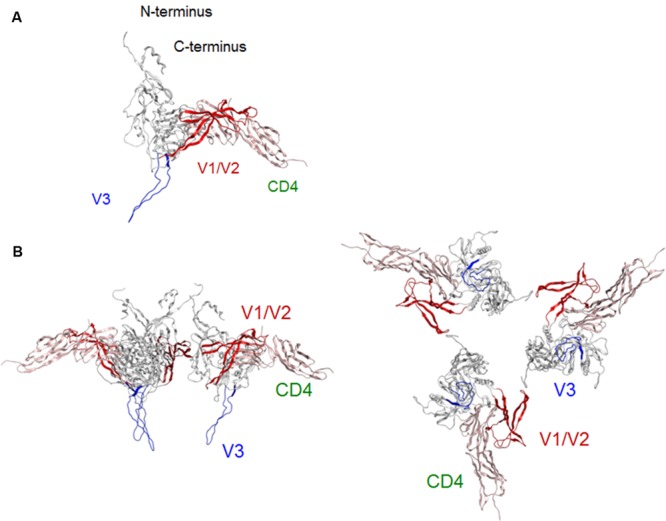 FIGURE 3