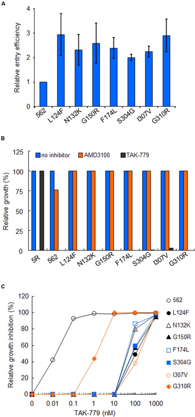 FIGURE 6