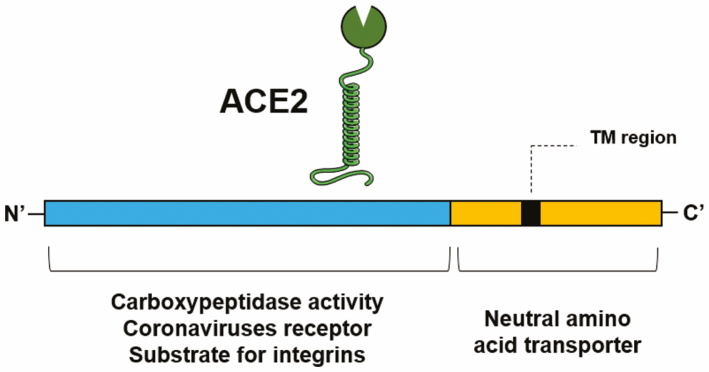 FIGURE 2.