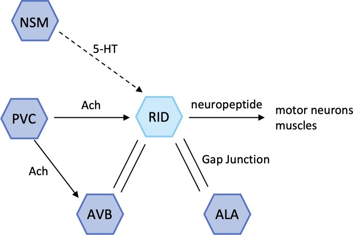 Fig 4