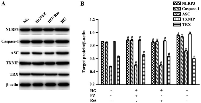 Figure 5.