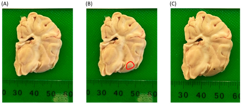 Figure 6