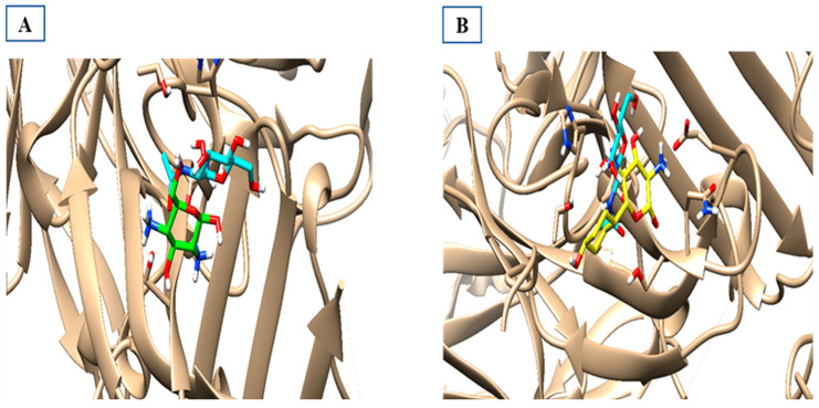 Figure 11