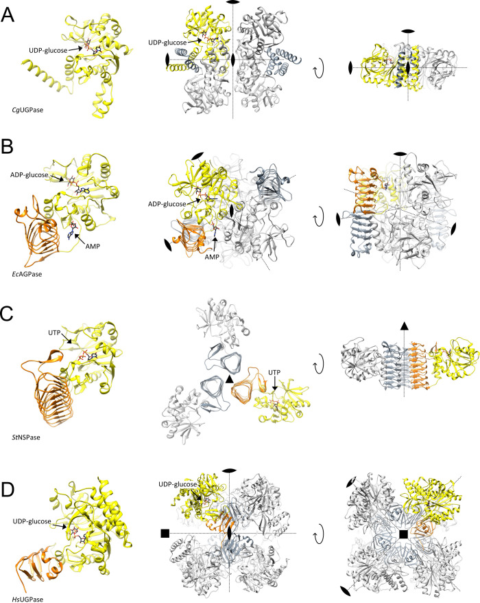 Figure 11