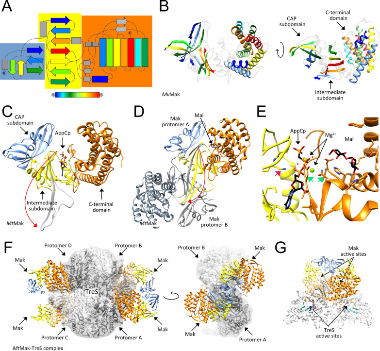 Figure 15