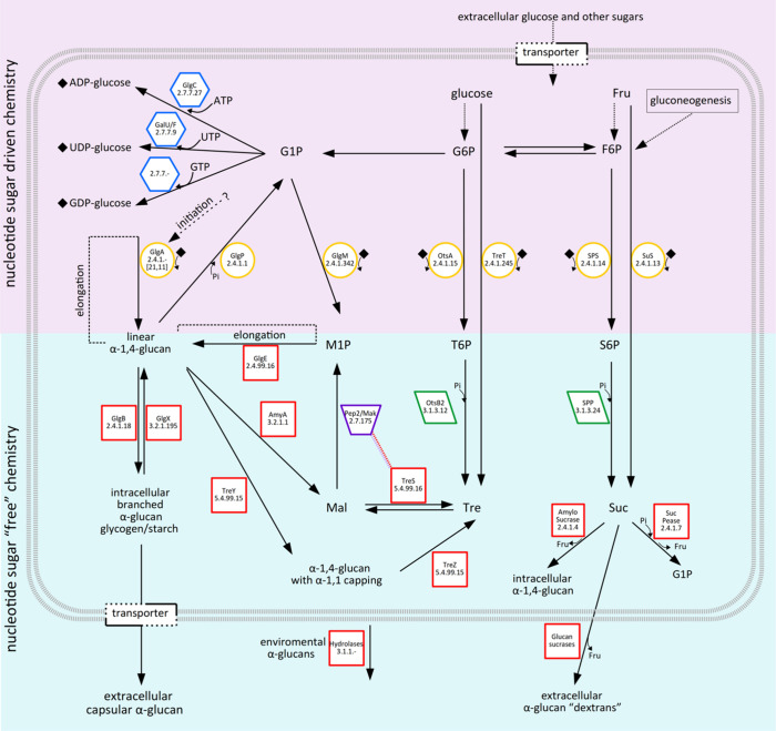 Figure 18