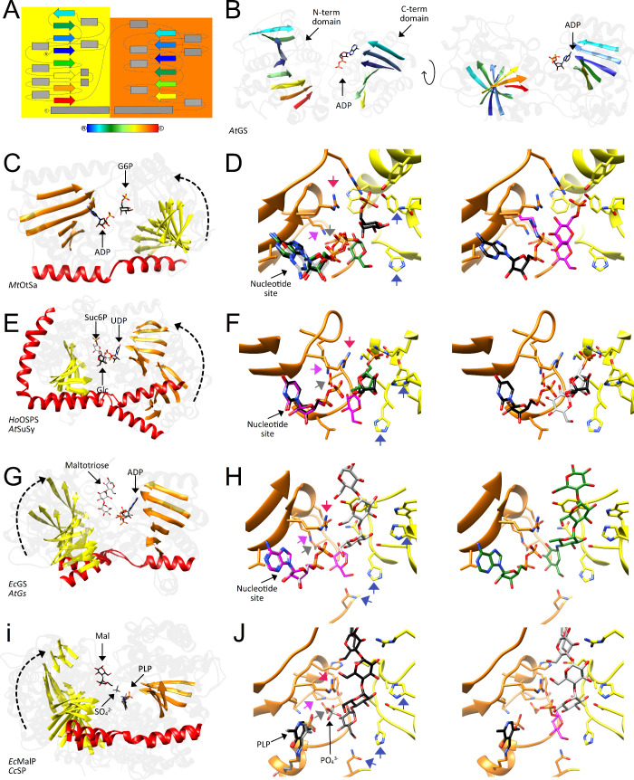 Figure 12