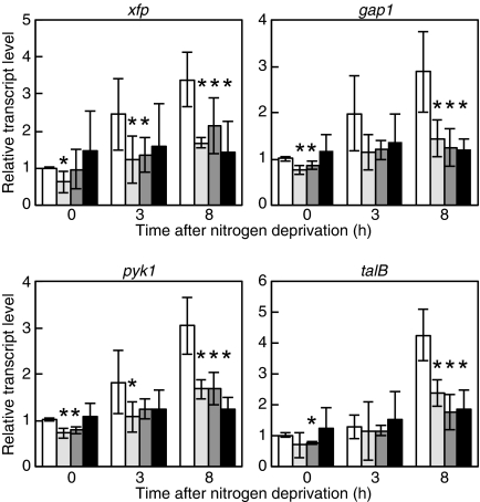 FIGURE 5.