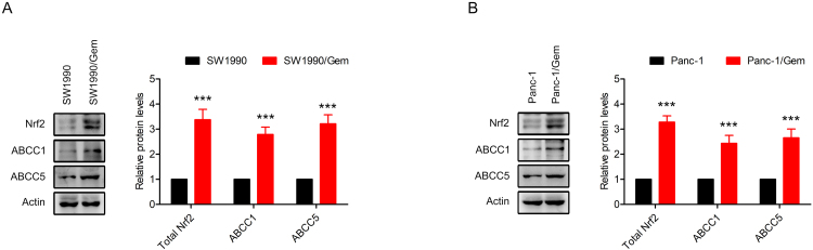 Supplementary Fig. S1