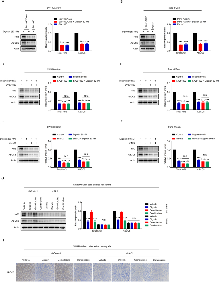 Supplementary Fig. S4