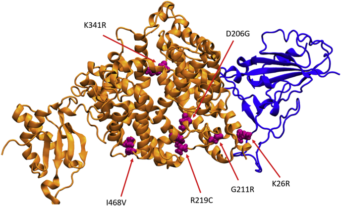 Fig. 1