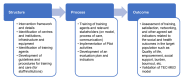 Diagram of project activities by structure, process, outcome phases