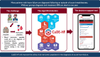 Graphical Abstract