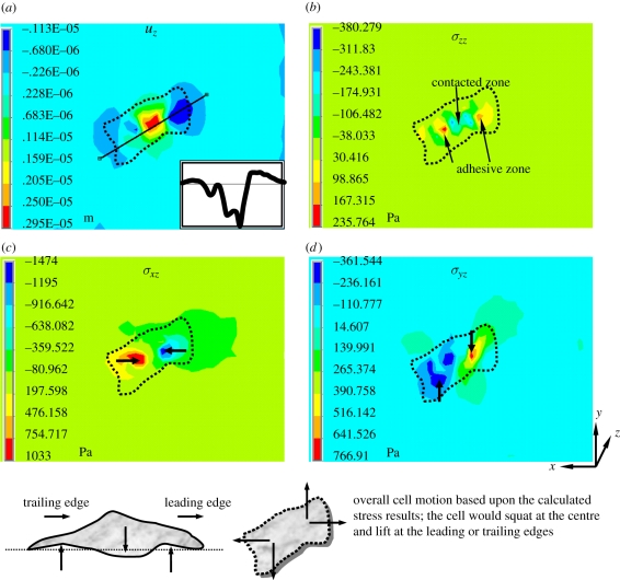 Figure 9.