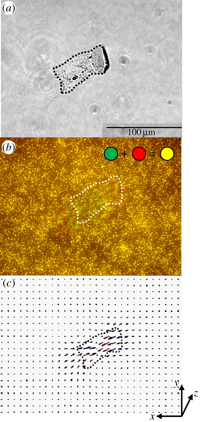 Figure 6.