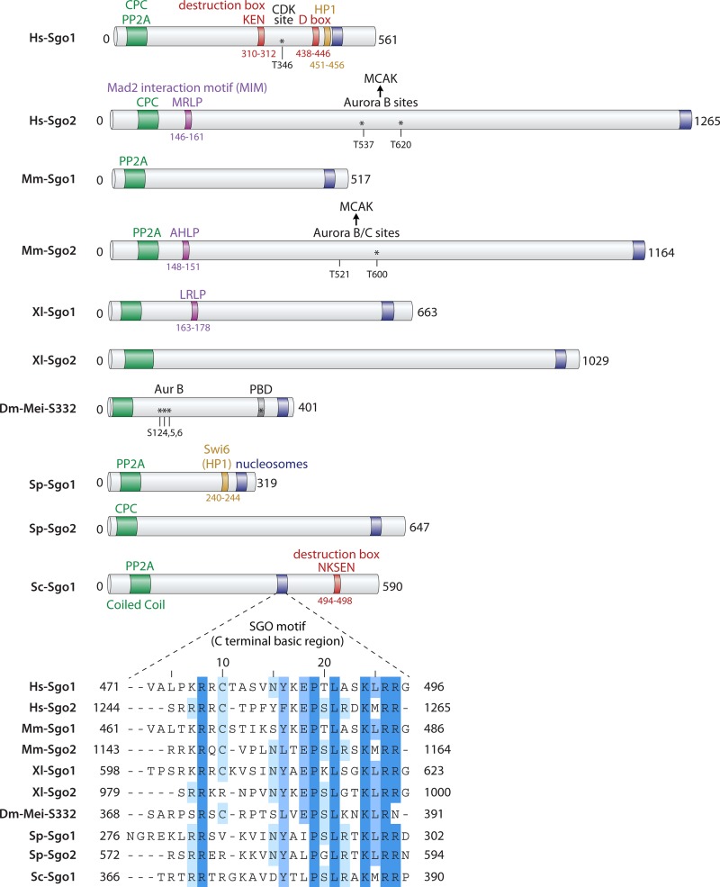 FIG 2