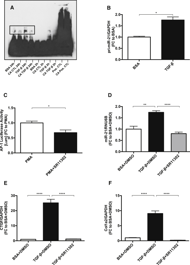 Figure 3