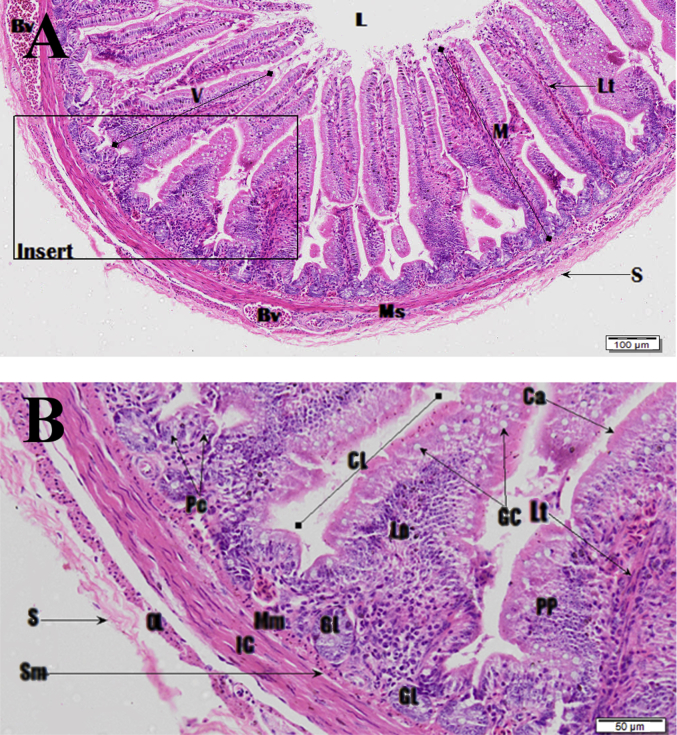 Fig. 22