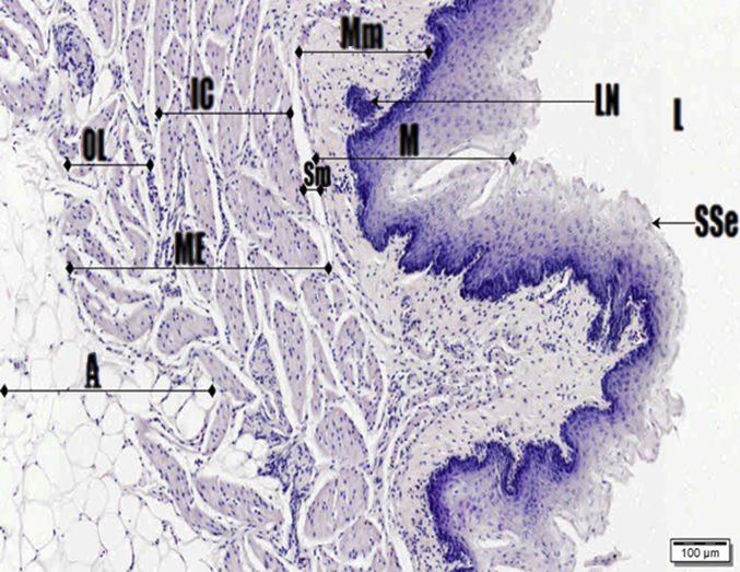 Fig. 9