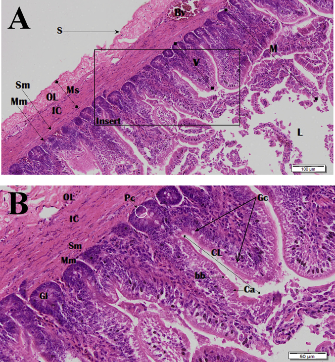 Fig. 17