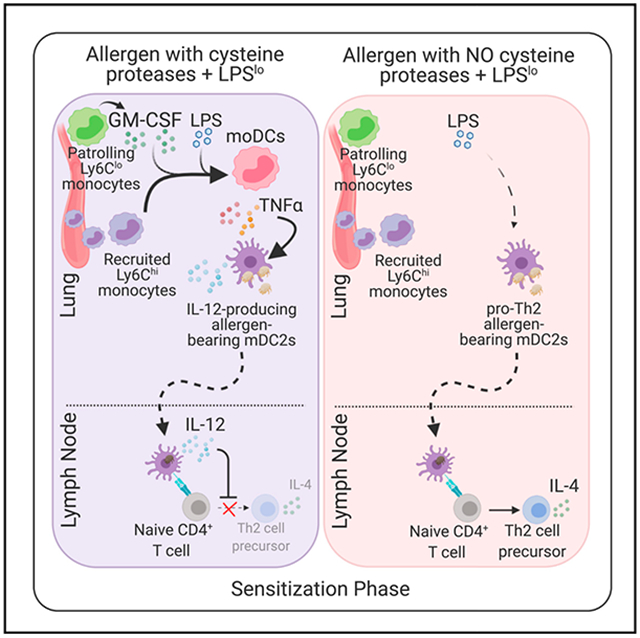 graphic file with name nihms-1767656-f0001.jpg