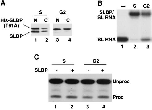 FIG. 8.