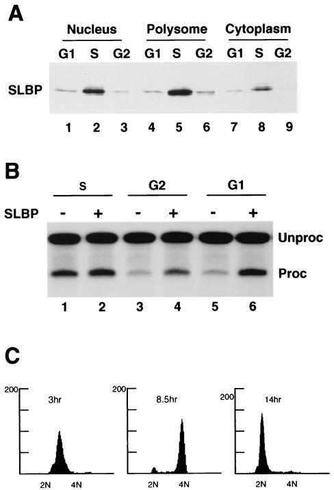 FIG. 7.