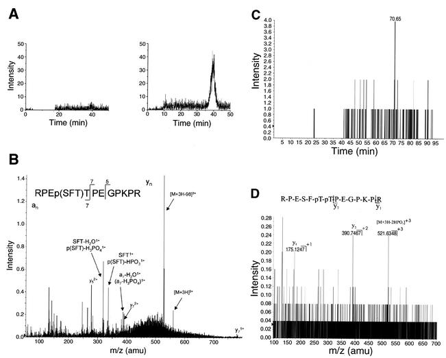 FIG. 5.