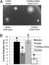 Fig 6