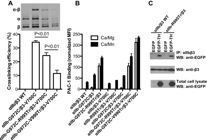 Fig. 8.