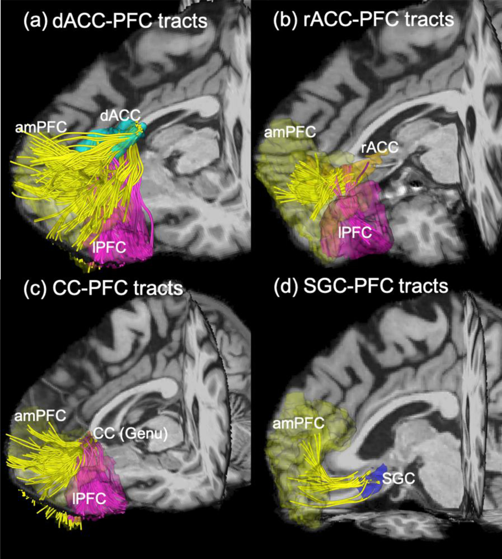 Figure 3: