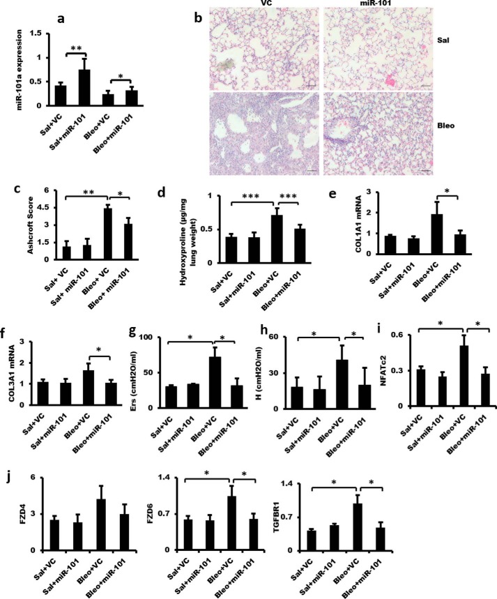 Figure 11.