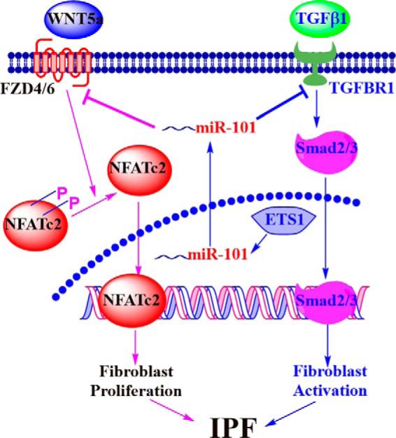 Figure 12.