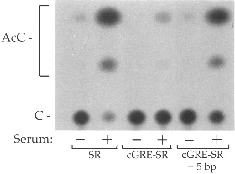 FIG. 5