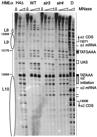 FIG. 6