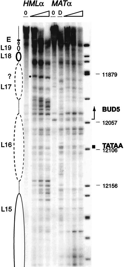 FIG. 7