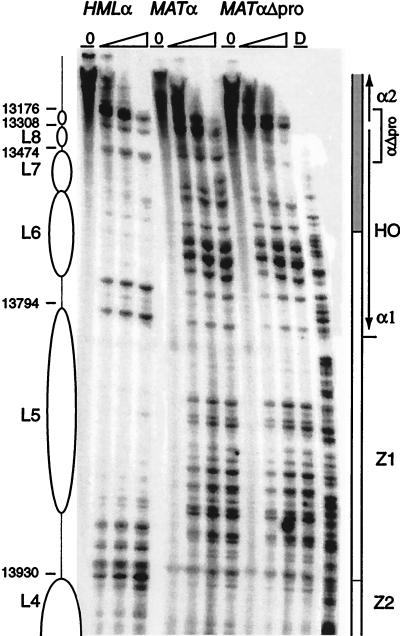 FIG. 10