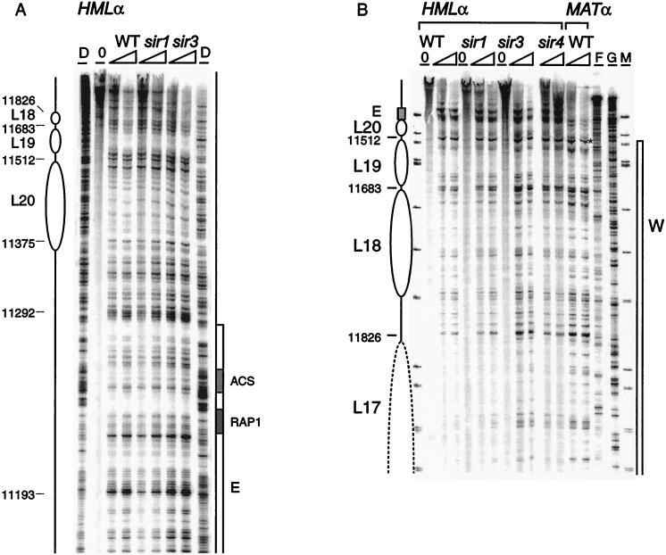 FIG. 8