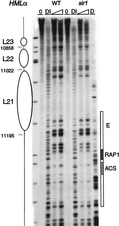 FIG. 9