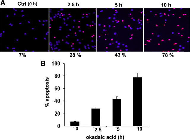 Figure 10.