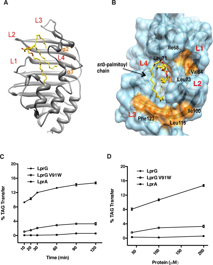 Fig 2